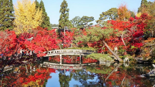 紅葉が美しい 七不思議の禅林寺永観堂の見どころを徹底解説 Seeingjapan