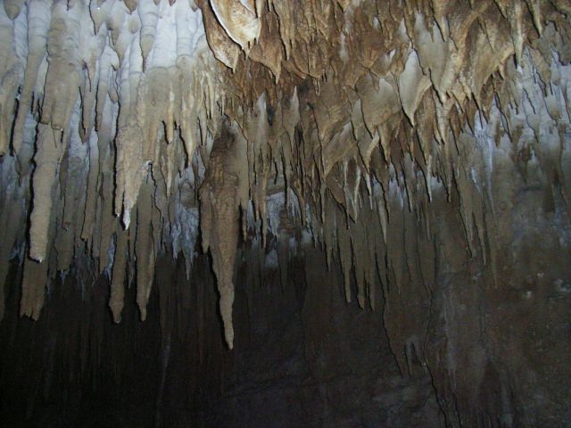 7. 東洋で一番美しい鍾乳洞といわれる「玉泉洞」