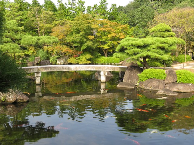 3. 広大な土地に作られた日本庭園を楽しめる「好古園」
