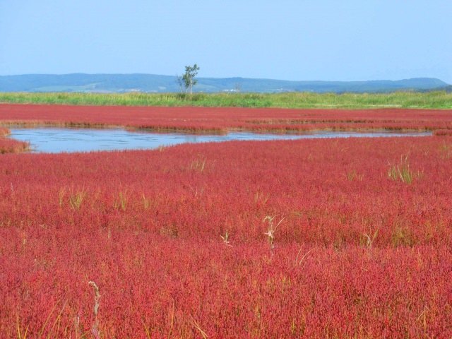 3. Lake Notoro