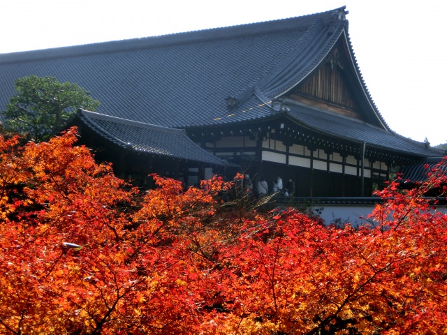2. 通天橋から望む紅葉は絶景。「東福寺」