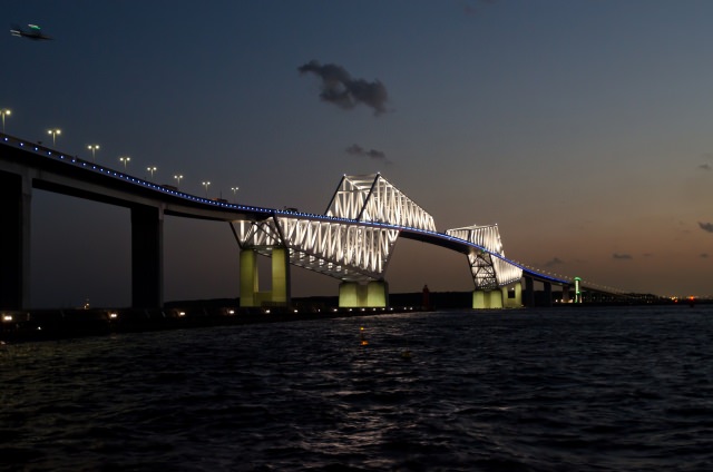 9. Tokyo gate bridge