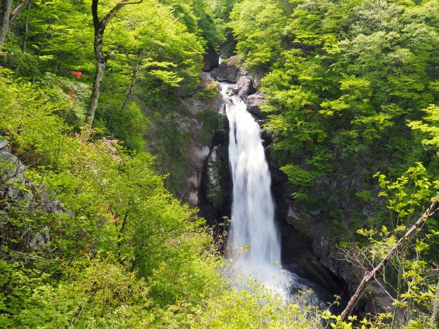 5. 豪快な滝景色を楽しめる、仙台の人気スポット！「秋保大滝」