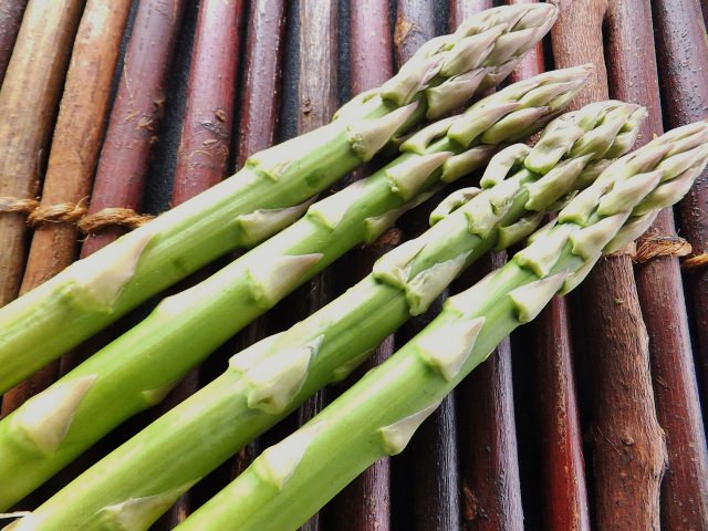 北海道の夏の食べ物といえばコレ 絶対に食べるべきおすすめな絶品グルメの名店10選 Seeingjapan