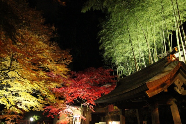 5. ちょっと一休みにおすすめ！仙台の歴史的なスポットで紅葉を「瑞鳳殿」