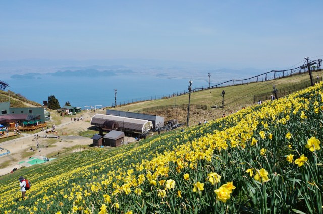 5. 琵琶湖の絶景と山遊びを楽しむ。「びわ湖バレイ」
