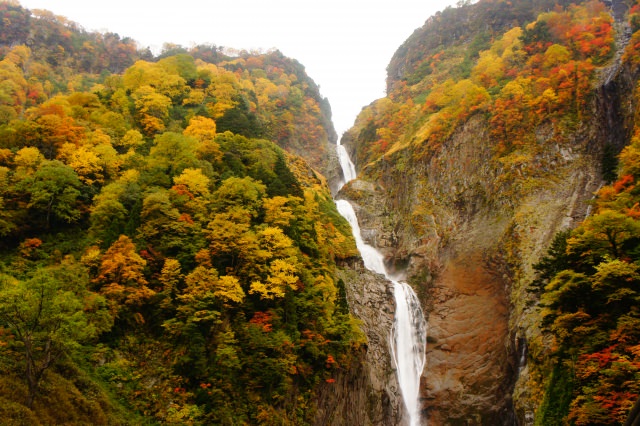 9. 日本で一度は訪れたい滝の一つ。富山が誇る絶景「称名滝」