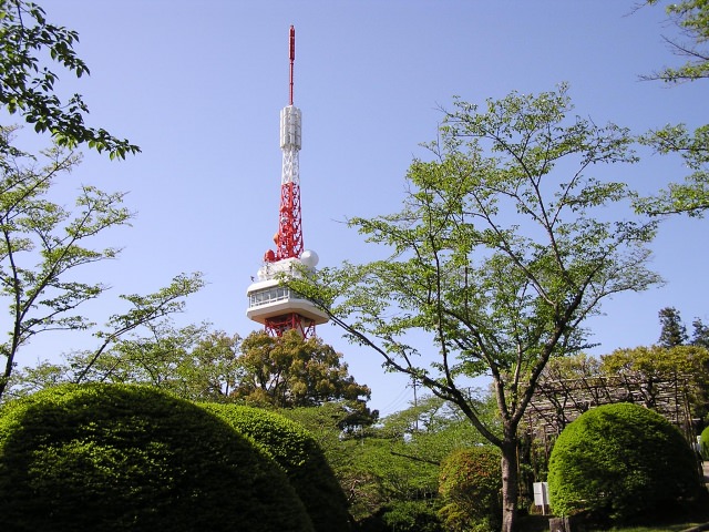 3. 宇都宮市の中心にある憩いの場。「八幡山公園」