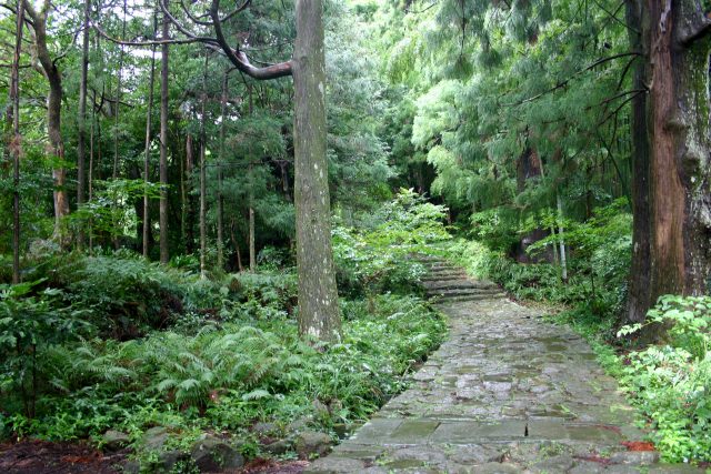 7. 美しい自然を満喫できる観光スポット「熊野古道　伊勢路」