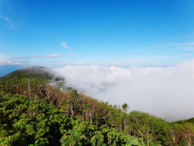 Mt.Yatsugatake Kiyosato Sanctuary