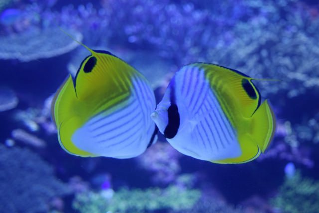 8. おんせん県大分にある水族館「大分マリーンパレス水族館 うみたまご」