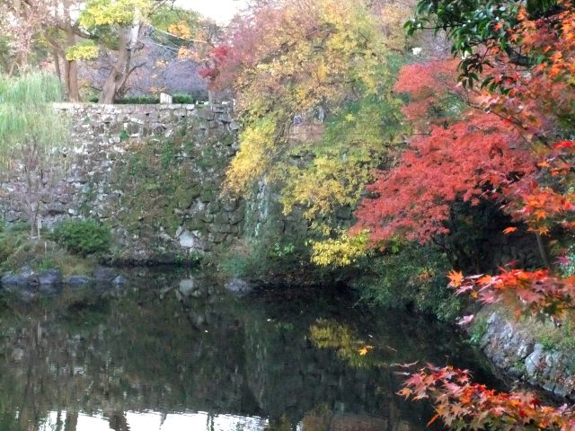 7. 和歌山県の中心にあるランドマーク。紅葉も絶景「和歌山城　紅葉渓庭園」