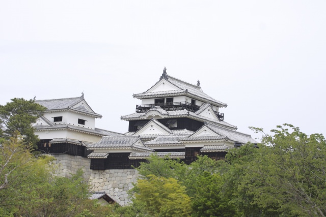 3. 松山の歴史的建造物を楽しむ。歴史好きにはたまらない観光地「松山城」