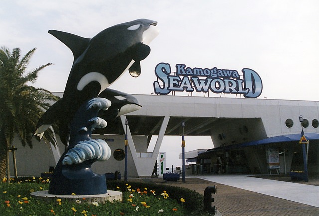 2. A popular aquarium in Japan in Chiba Prefecture, Kamogawa Sea World