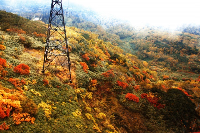 1. 日本で一番早く紅葉が見られるスポット「大雪山」