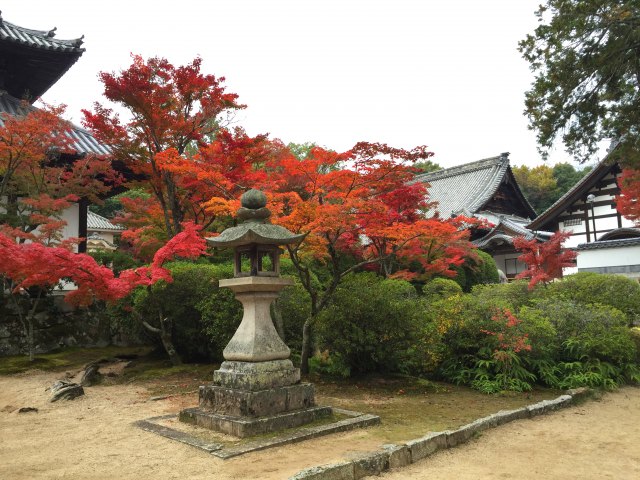 Autumn Foliage Spot with a Long History in Okayama, Hofuku-ji Temple