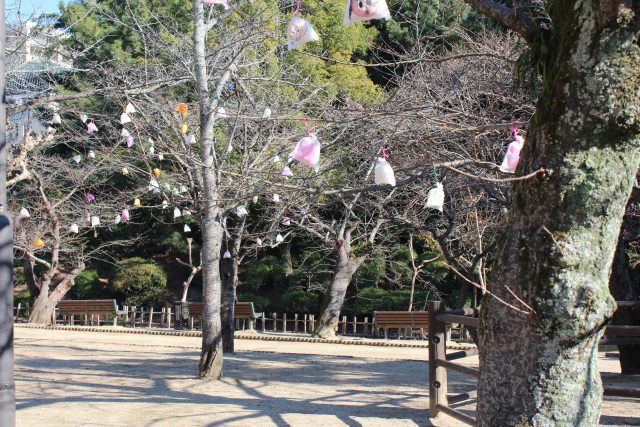 6. 自然に囲まれてリフレッシュ！落ち着いた時間を過ごすなら「道後公園」