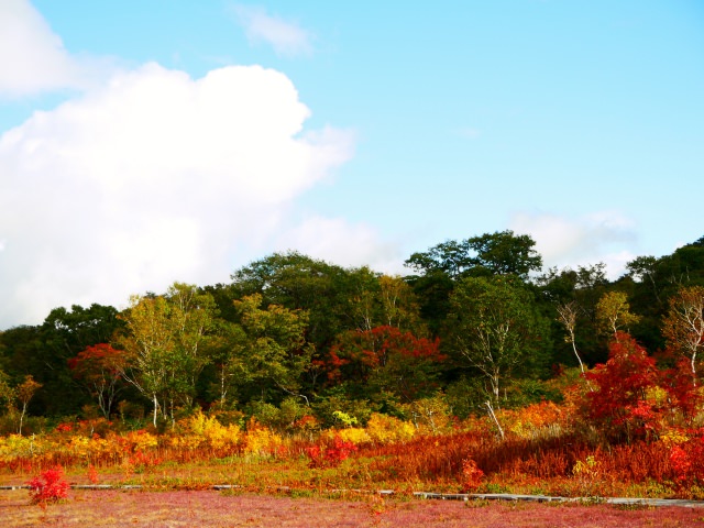 北海道で人気の秋の絶景へ 絶対行くべきおすすめな紅葉の名所10選 Seeingjapan