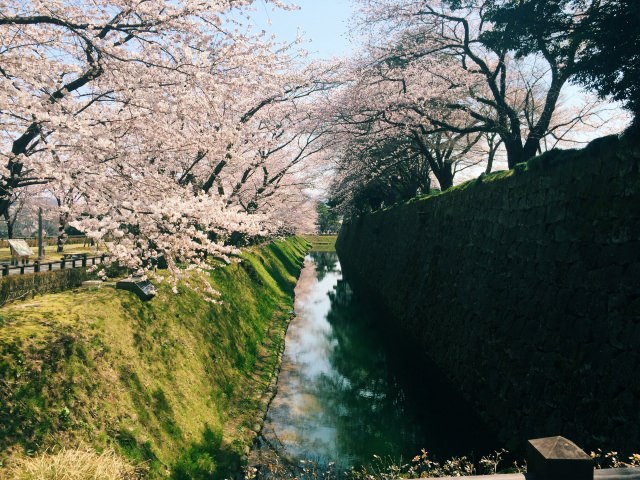 3. 桃源郷の様な風景が楽しめるお花見スポット「金沢城公園」