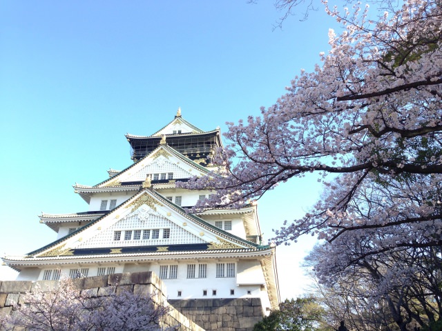 2. 大阪市民憩いのスポットは桜も人気「大阪城公園」