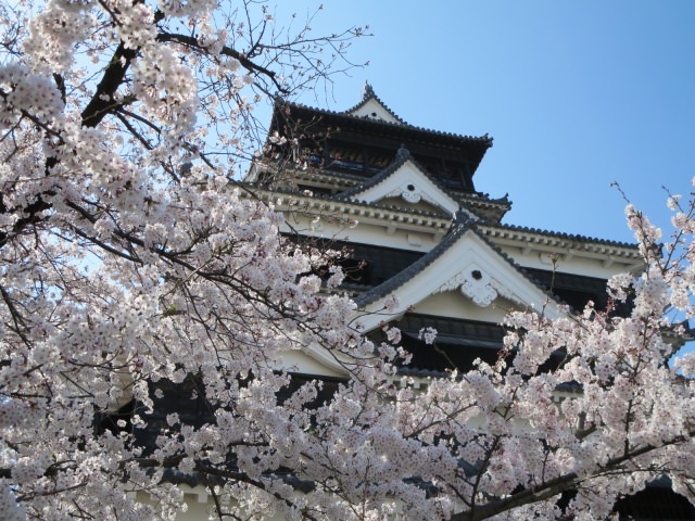 定番から穴場まで 熊本県で桜のお花見におすすめな人気の名所10選 Seeingjapan