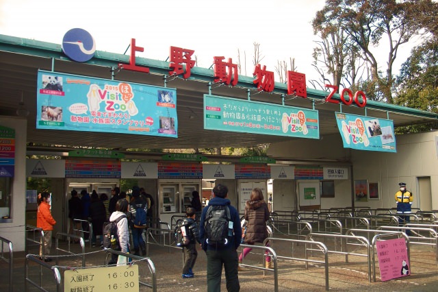 まずはここから！上野動物園「東園」
