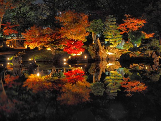 6. 国宝彦根城の池に映る秋を感じる「名園玄宮園」