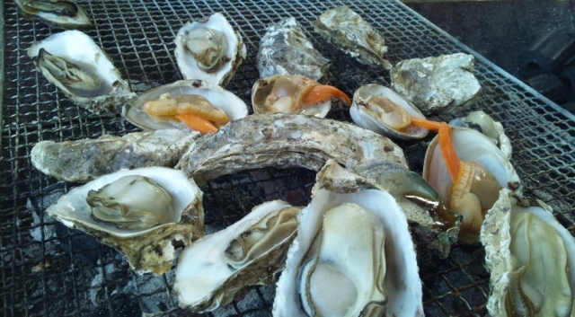 本場広島で食べたい旬の牡蠣 おすすめの牡蠣小屋9選 Seeingjapan