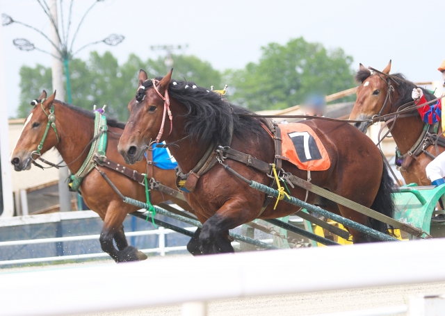 グルメも楽しい 東京競馬場 府中競馬場 の美味しいグルメ10選 Seeingjapan