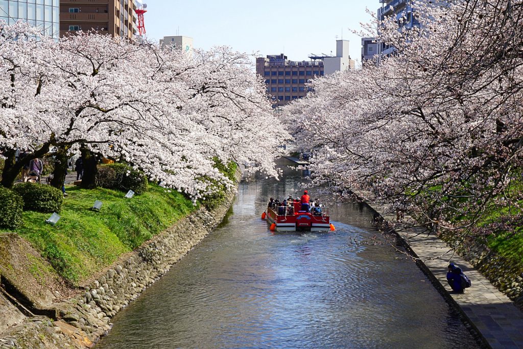 日本の春といえば桜！雄大な自然景観が魅力な富山県の桜の名所10選！ | SeeingJapan